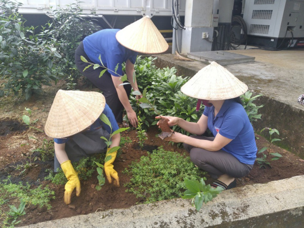 CÔNG ĐOÀN CƠ SỞ SỞ KHOA HỌC VÀ CÔNG NGHỆ  TỔ CHỨC RA QUÂN HƯỞNG ỨNG PHONG TRÀO XÂY DỰNG  CƠ QUAN “XANH – SẠCH – ĐẸP” NĂM 2024